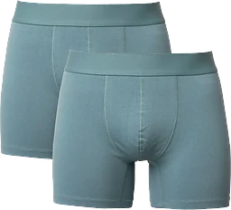 Boxer Emil turkos L