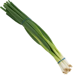 Salladslök Knippe