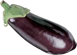 Aubergine