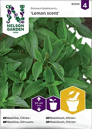 Basilika, Citron-, Lemon Scent