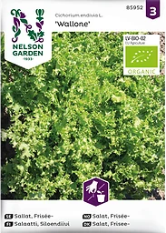 Sallat, Frisée, Wallone, Organic