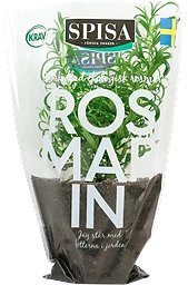 Rosmarin Ekologisk KRAV