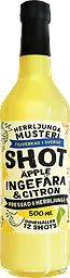 Ingefära Shot Citron