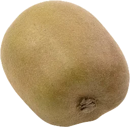 Kiwi Gul Klass 1