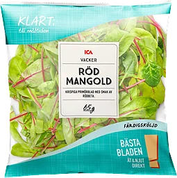 Finbladig röd mangold Sköljd 1