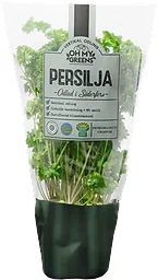 Persilja