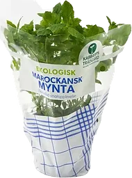 Mynta