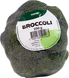 Broccoli