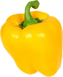 Paprika Gul