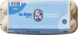 Ägg 10-pack L Frigående inomhus