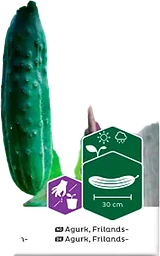 Gurka, Frilands-, Marketer, Organic