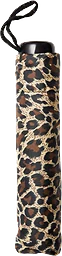 Paraply