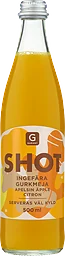 Shot Gurkmeja Ingefära Äpple Citron