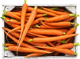 Morötter