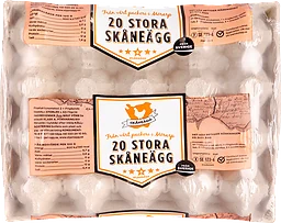 Skåneägg Frigående Inne L