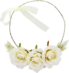 Diadem Med Vita Rosor