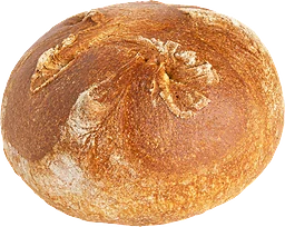Levainknut
