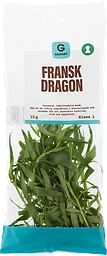 Fransk Dragon