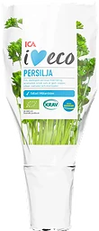 Persilja i kruka Ekologisk 1-p KRAV Klass 1