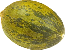 Melon