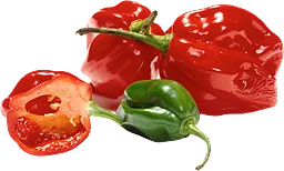Peppar Habanero