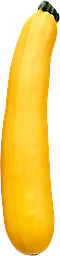 Zucchini Gul ca Klass 1