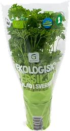 Persilja Krus Kruka Ekologisk