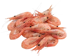 Färska räkor ca