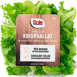 Krispsallat