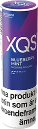 Blueberry Mint Strong Stock