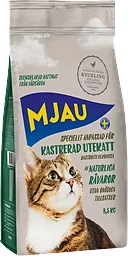 Torrfoder kastrerad utekatt Kyckling