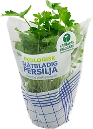 Bladpersilja Klass 1