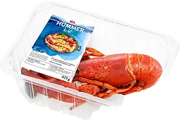 Hummer