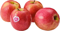 Äpple Pink Lady 4-pack Klass 1 ICA