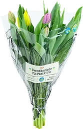 Tulpaner 10-p 35cm blandade färger i buketten