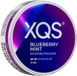 Blueberry Mint Light 4mg