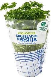 Kruspersilja Ekologisk 1-p