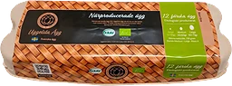 Ägg 12-pack Eko
