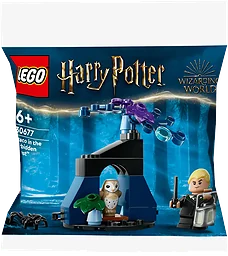 Draco i den förbjudna skogen