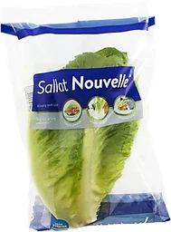 Sallad Nouvelle