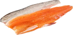Röding filé