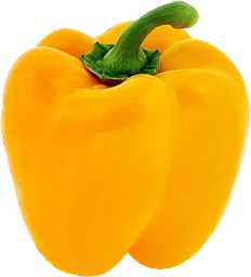 Paprika Gul Klass 1