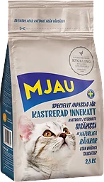 Innekatt Kastrerad