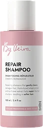 Schampo Repair
