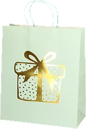 Presentpåse Present 26x31 cm
