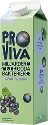 Fruktdryck Svartvinbär