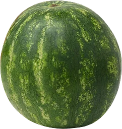Vattenmelon mini 1-pack Klass 1