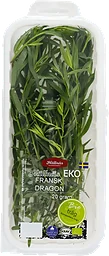 Fransk Dragon EKO Handelsträdgård