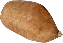 Sötpotatis