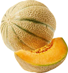 Cantaloupemelon